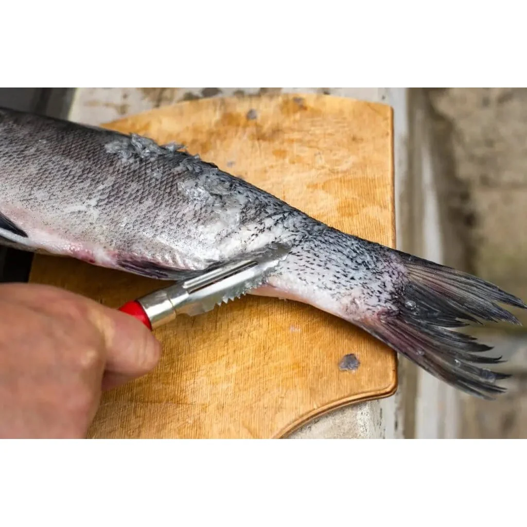 Fish Scaler Remover (Made in Japan) - Image 3